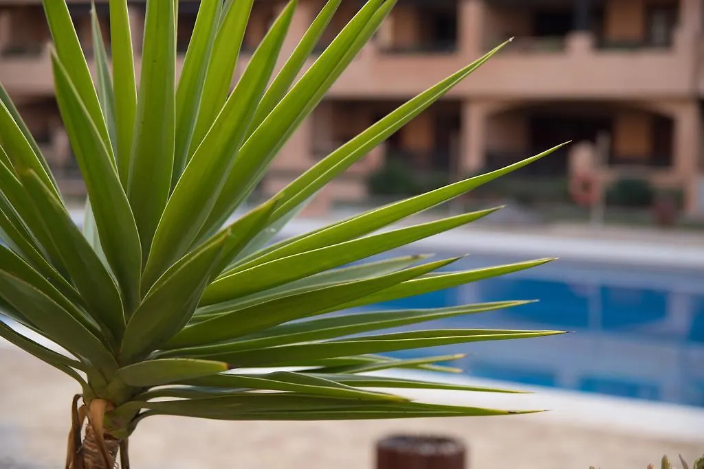 Apartment Apartamentos Turisticos Spiritmar Almerimar